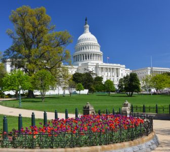 Capitol Hill Guided Walking Tour – Semi-Private