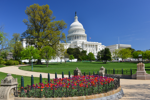 Capitol Hill Guided Walking Tour – Semi-Private