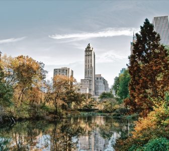 The Essential Central Park Guided Walking Tour – Semi-Private