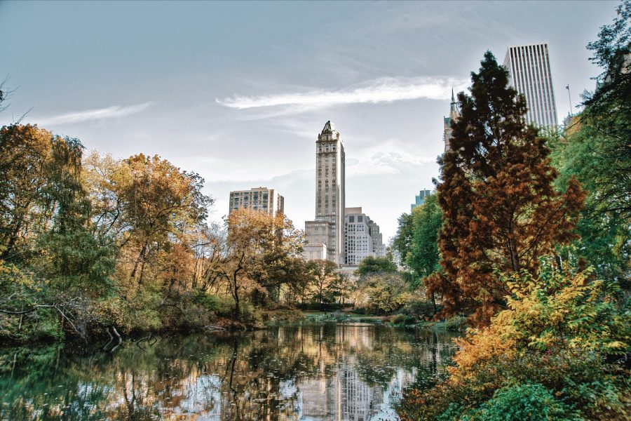 Central-Park-NYC-Tour