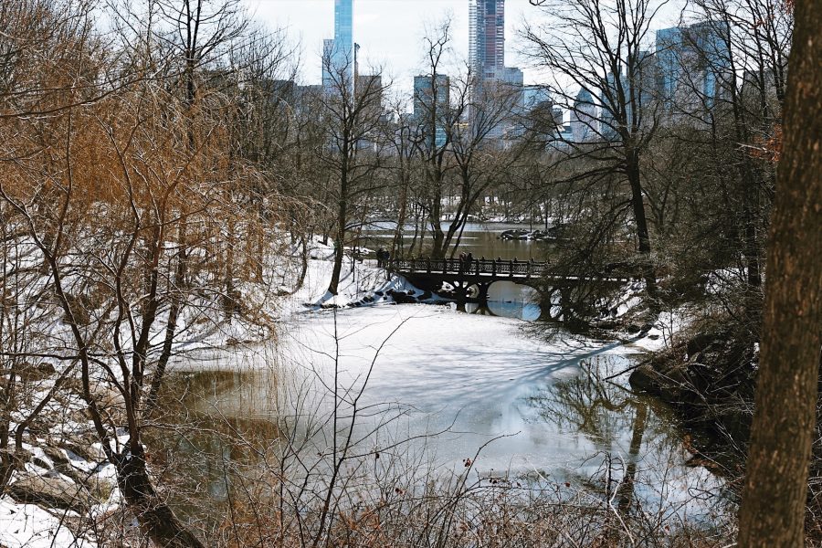 NYC-Central-Park-Tour