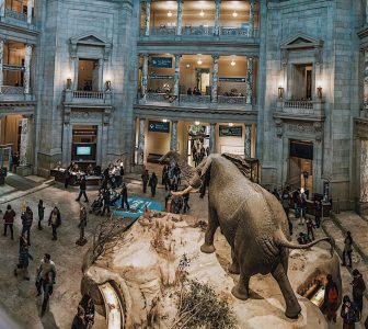 Smithsonian National Museum of Natural History Guided Tour – Semi-Private