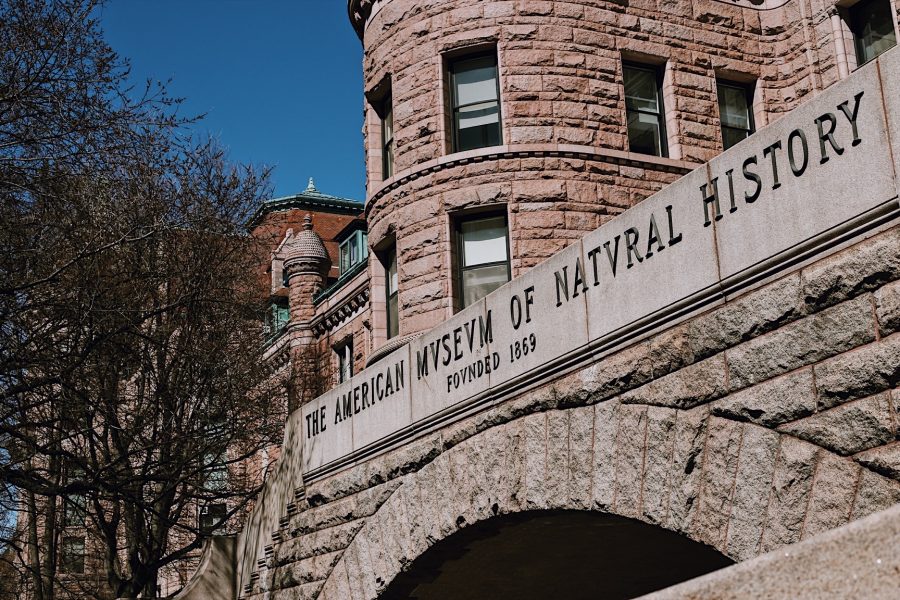 Tour-American-Natural-History-NYC-Museum