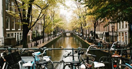 History of Amsterdam – City Center Guided Walking Tour – Semi-Private