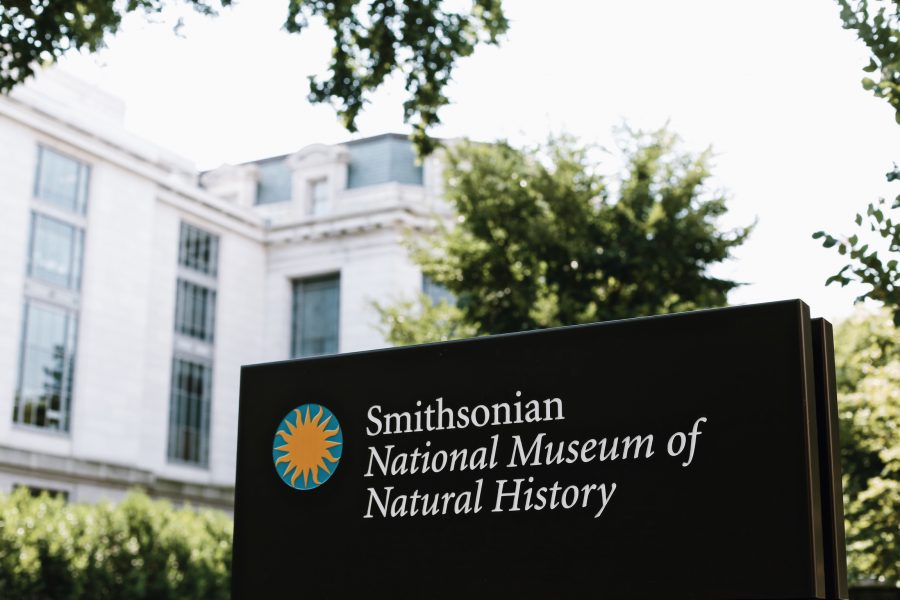 Tour-Natural-History-DC-Museum-Washington-Smithsonian