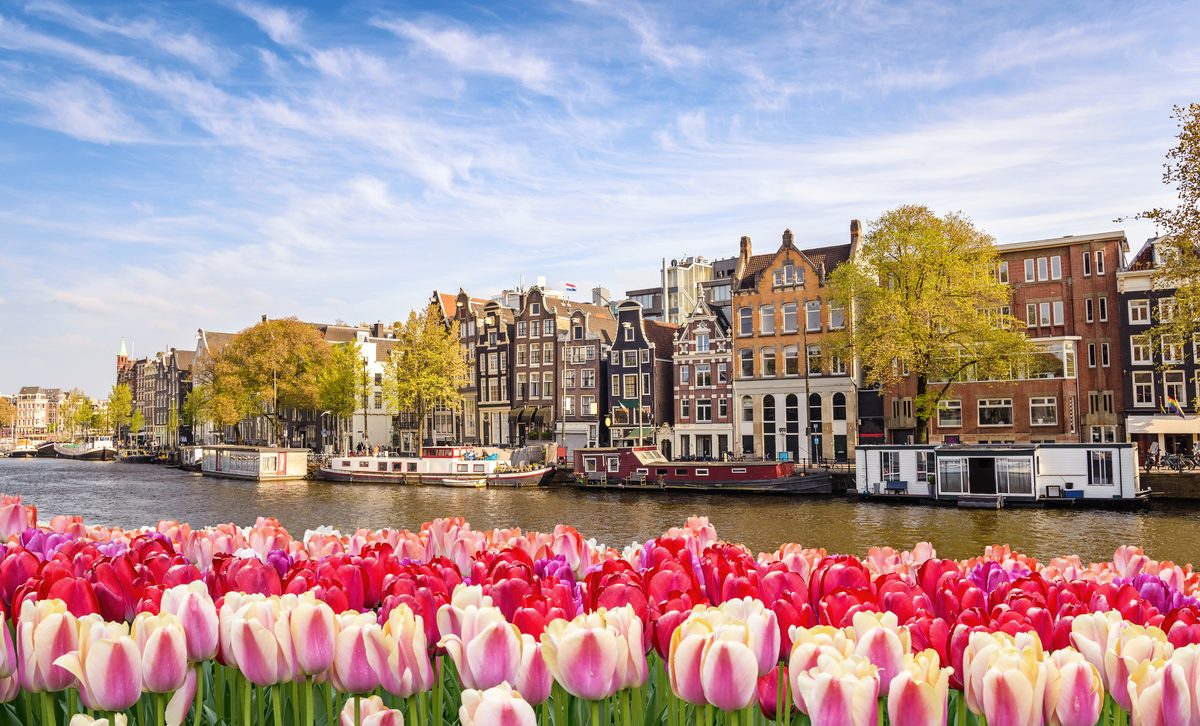 Amsterdam canal guided museum tours